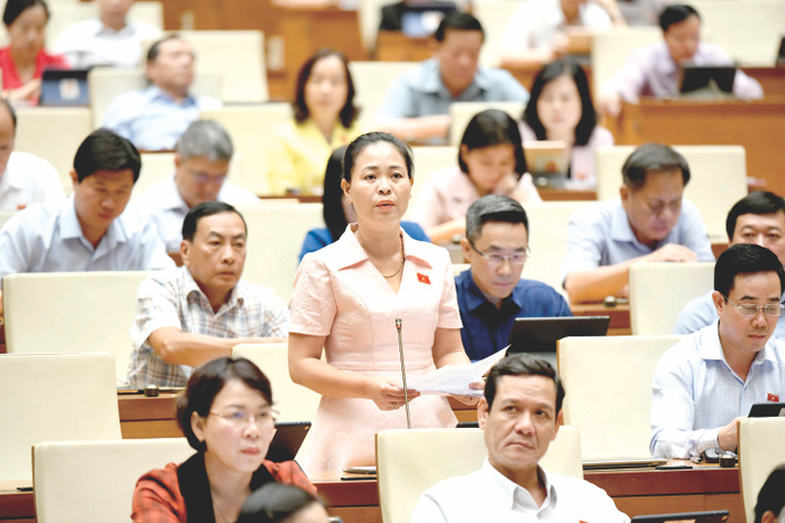 ĐBQH Nguyễn Thị Thu Dung (Thái Bình) phát biểu. Ảnh: Lâm Hiển ĐBQH Nguyễn Thị Thu Dung (Thái Bình) phát biểu