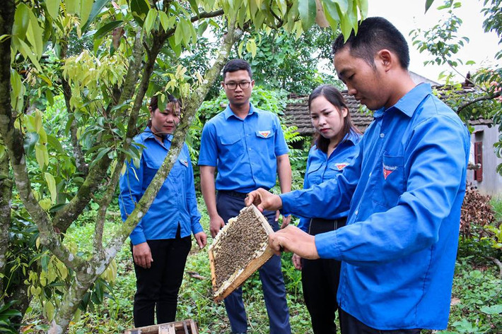 Tạo môi trường, động lực để thanh niên sáng tạo khởi nghiệp Nguồn: ITN Tạo môi trường, động lực để thanh niên sáng tạo khởi nghiệp Nguồn: ITN