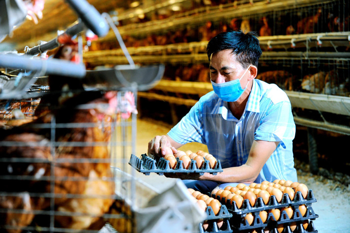Kinh tế Hải Dương 2 tháng đầu năm 2024 đứng thứ 3 vùng đồng bằng sông Hồng. Ảnh: haiduong.gov.vn Chủ tịch UBND tỉnh Hải Dương Triệu Thế Hùng:Hải Dương tăng trưởng kinh tế gắn với bảo đảm an sinh xã hội -0