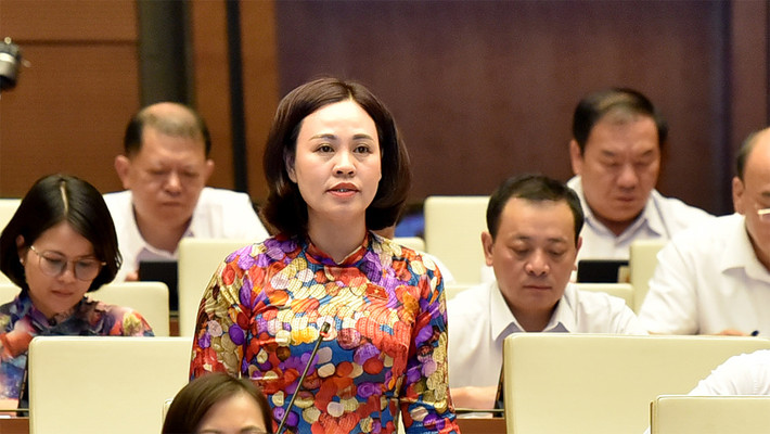 Bảo vệ, kiểm soát nghiêm ngặt diện tích đất trồng lúa, đất rừng đặc dụng ảnh 3 Bảo vệ, kiểm soát nghiêm ngặt diện tích đất trồng lúa, đất rừng đặc dụng -0