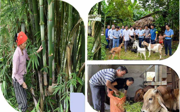 Dấu ấn vốn chính sách trên vùng khó ảnh 1 Đời sống người dân huyện miền núi Nghệ An có nhiều chuyển biến. Ảnh: Báo Nghệ An