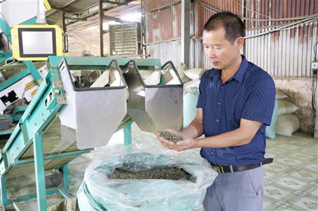 Tấm gương nông dân làm kinh tế giỏi ở Tân Uyên, Lai Châu ảnh 1 Ông Kim Văn Tân là tấm gương điển hình cho người nông dân chuyên nghiệp, vượt khó vươn lên làm giàu. Ảnh: TTXVN