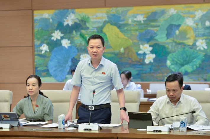 Ủy ban Kinh tế thẩm tra dự án Luật sửa đổi, bổ sung một số điều của 4 luật ảnh 5 ww