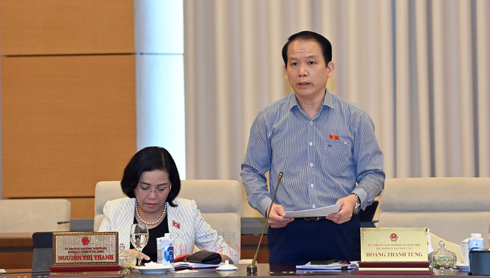 Chủ nhiệm Ủy ban Pháp luật Hoàng Thanh Tùng phát biểu tại Phiên họp Ảnh: Lâm Hiển Chủ nhiệm Ủy ban Pháp luật Hoàng Thanh Tùng phát biểu tại Phiên họp Ảnh: Lâm Hiển