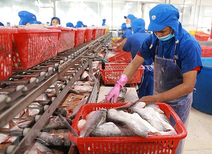 Cá tra có cơ sở “chạm” mục tiêu xuất khẩu 2 tỷ USD ảnh 1 Năm 2024 xuất khẩu cá tra đặt mục tiêu 2 tỷ USD