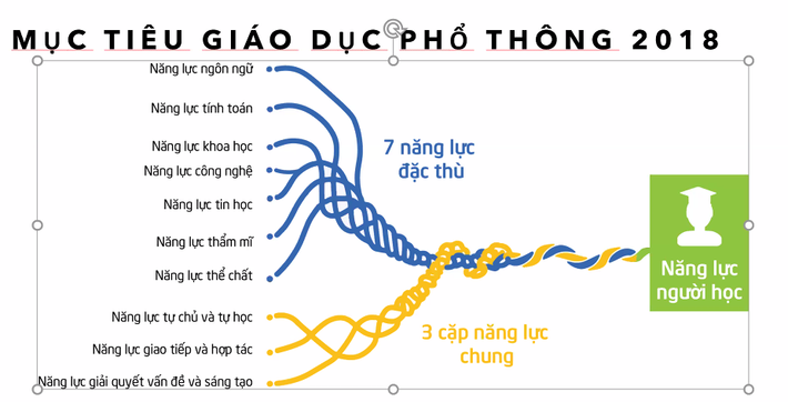 Thế giới triển khai các mô hình dạy học tích hợp thế nào? -0