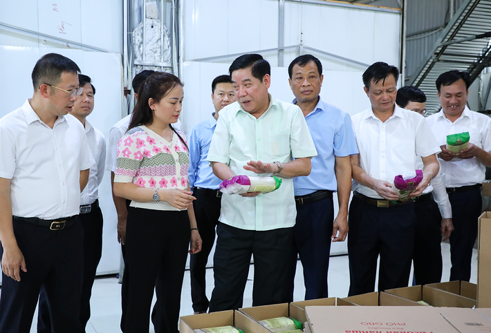 Bí thư Tỉnh ủy Nguyễn Văn Gấu và đoàn công tác thăm HTX Sản xuất, kinh doanh tiêu thụ mỳ gạo Chũ Hiền Phước. Ảnh: ITN Bí thư Tỉnh ủy Bắc Giang Nguyễn Văn Gấu thăm một số mô hình sản xuất tại Lục Ngạn -0