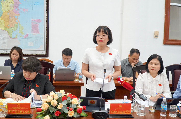 Đoàn giám sát của Quốc hội làm việc với UBND tỉnh Khánh Hòa về quản lý thị trường bất động sản, phát triển nhà ở xã hội ảnh 3 Phó chủ nhiệm Ủy ban Pháp luật Nguyễn Thị Mai Phương ghi nhận các ý kiến kiến nghị của doanh nghiệp cũng như UBND tỉnh Khánh Hoà