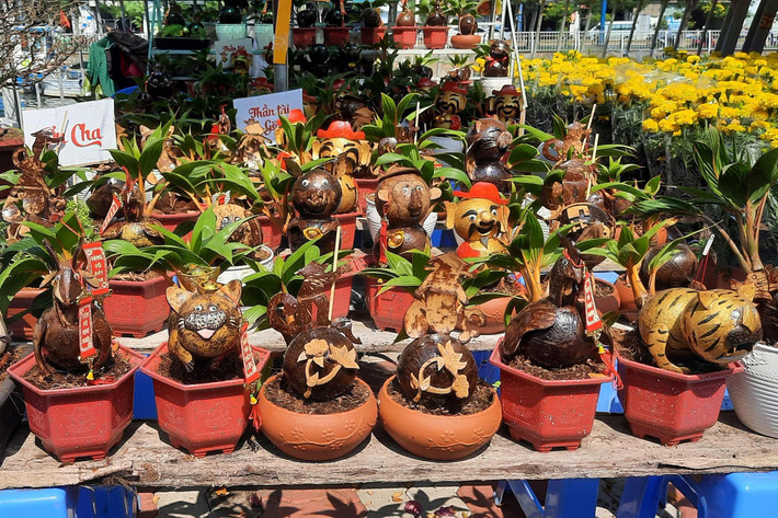 Bên cạnh các loại hoa, các loại tiểu cảnh cũng được bày bán khá nhiều tại Bến Bình Đông (Q.8). Ảnh: Quang Phương Hàng trăm loại hoa từ các tỉnh tập kết về TP. Hồ Chí Minh cùng khoe sắc dịp Tết Giáp Thìn 2024 -0