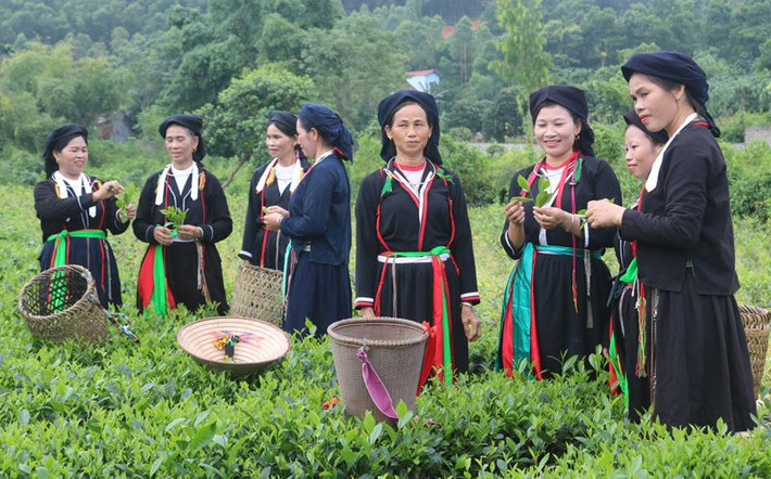 Phát triển các mô hình sản xuất, đời sống của đồng bào DTTS tỉnh Thái Nguyên ngày càng khởi sắc Thái Nguyên thực hiện hiệu quả chính sách dân tộc -0