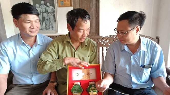Mật ong do Tổ hợp tác ong mật Đông Tam Đảo sản xuất. Nguồn: ITN Mật ong do Tổ hợp tác ong mật Đông Tam Đảo sản xuất - Ảnh: ITN