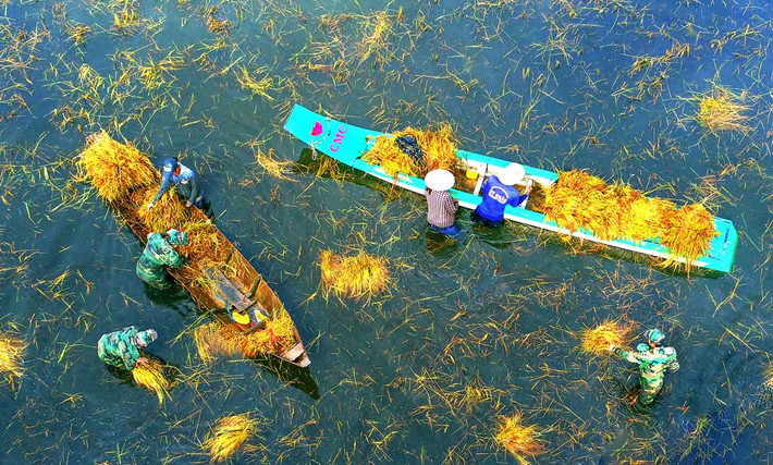 Triển lãm khơi dậy niềm tự hào dân tộc, góp sức xây dựng nền quốc phòng toàn dân vững mạnh Triển lãm “Quân với dân một ý chí” -0