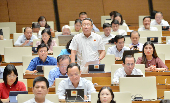 Pháp luật phải rõ ràng, khách quan, minh bạch ảnh 1 Có nên mở rộng các loại đất được làm dự án nhà ở thương mại? -0