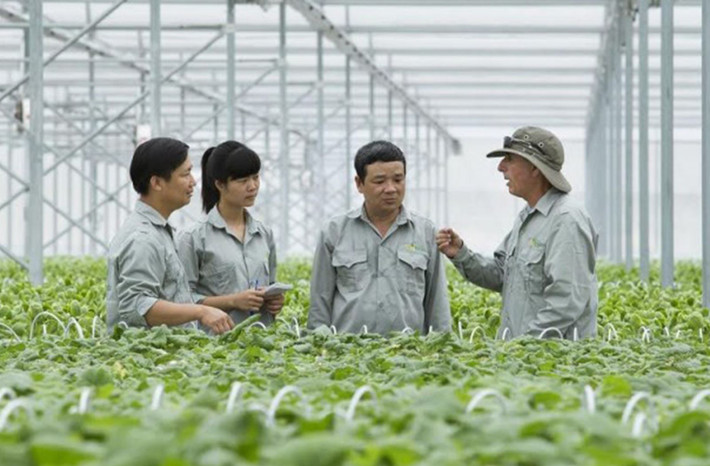Đào tạo nghề cần gắn với nhu cầu của doanh nghiệp và định hướng phát triển của địa phương. Đào tạo nghề cần gắn với nhu cầu của doanh nghiệp và định hướng phát triển của địa phương.