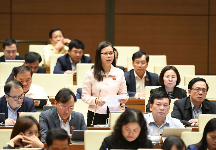 Bảo đảm khi Nghị quyết được ban hành, địa phương phải thực hiện được ngay ảnh 2 Bảo đảm khi Nghị quyết được ban hành, địa phương phải thực hiện được ngay -0