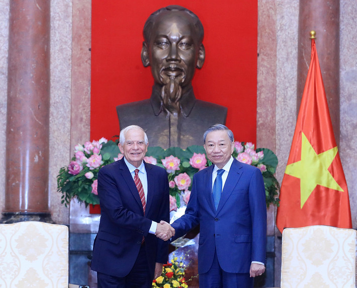 Chủ tịch nước Tô Lâm tiếp Phó Chủ tịch Ủy ban châu Âu Josep Borrell Fontelles ảnh 1 Chủ tịch nước Tô Lâm tiếp Phó Chủ tịch Ủy ban châu Âu Josep Borrell Fontelles -2