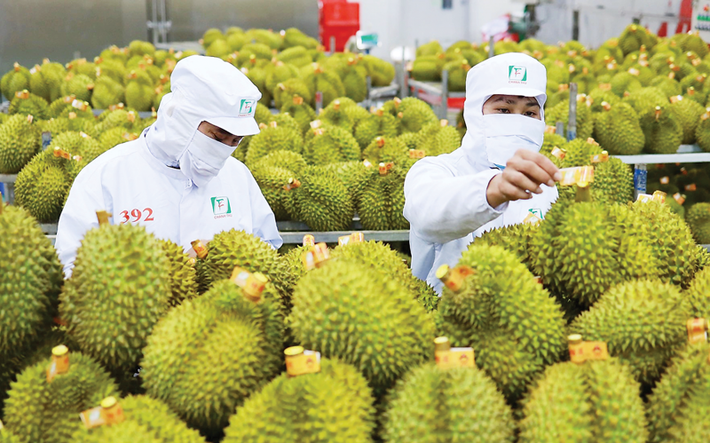 Nguồn: ITN Ảnh minh họa. Nguồn:ITN