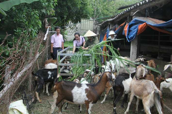 Cán bộ tín dụng luôn kịp thời động viên, thăm hỏi hộ vay vốn Đổi thay ở Quỳnh Lưu -0