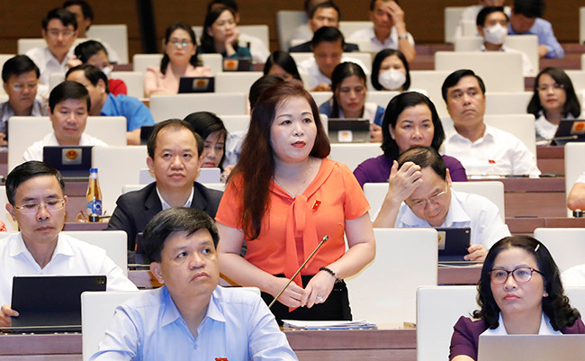 ĐBQH Vũ Thị Lưu Mai (TP. Hà Nội) phát biểu. Ảnh: Hồ Long Quốc hội thảo luận về kết quả thực hiện kế hoạch phát triển kinh tế - xã hội -0