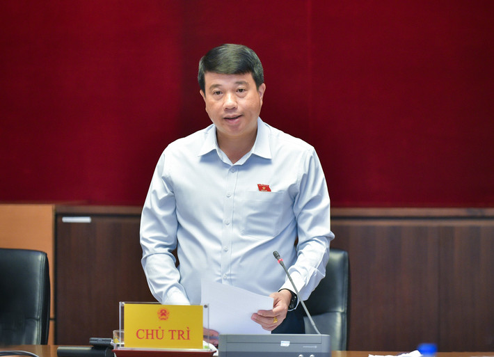 Hội đồng Dân tộc triển khai giám sát về công tác cán bộ với đội ngũ cán bộ dân tộc thiểu số ảnh 1 Chủ tịch Hội đồng Dân tộc Y Thanh Hà Niê Kđăm phát biểu tại Phiên họp - Ảnh H.Ngọc