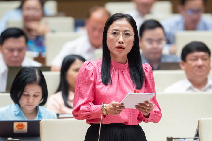 ĐBQH tỉnh Thái Bình Trần Khánh Thu phát biểu ý kiến Dự thảo Luật Đấu thầu (sửa đổi): Vẫn còn quy định tiềm ẩn rủi ro cho ngành y tế -0