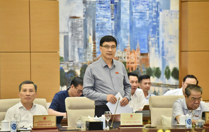 Dự án Luật Thuế giá trị gia tăng (sửa đổi): Cần quy định cụ thể hơn các hành vi bị cấm ảnh 2 Cần quy định cụ thể hơn các hành vi bị cấm -0