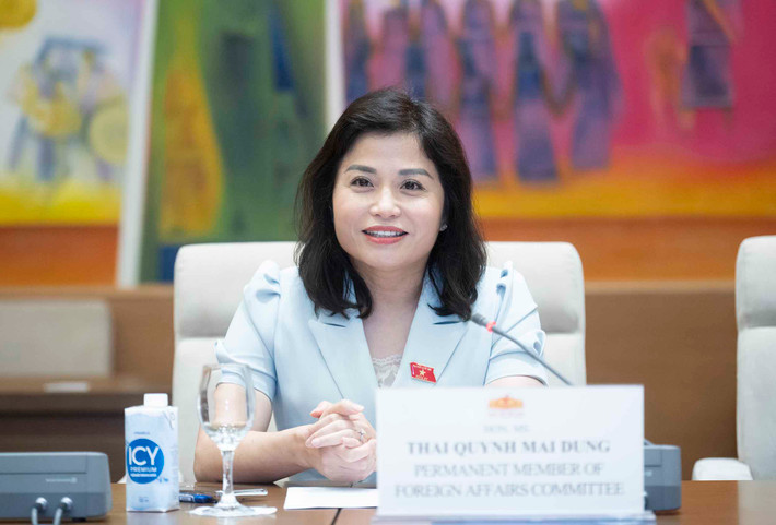 Ủy viên Thường trực Ủy ban Đối ngoại Thái Quỳnh Mai Dung tiếp Đoàn Văn phòng Lãnh đạo quốc tế của Quốc hội Hoa Kỳ ảnh 2 Ủy viên Thường trực Ủy ban Đối ngoại Thái Quỳnh Mai Dung phát biểu