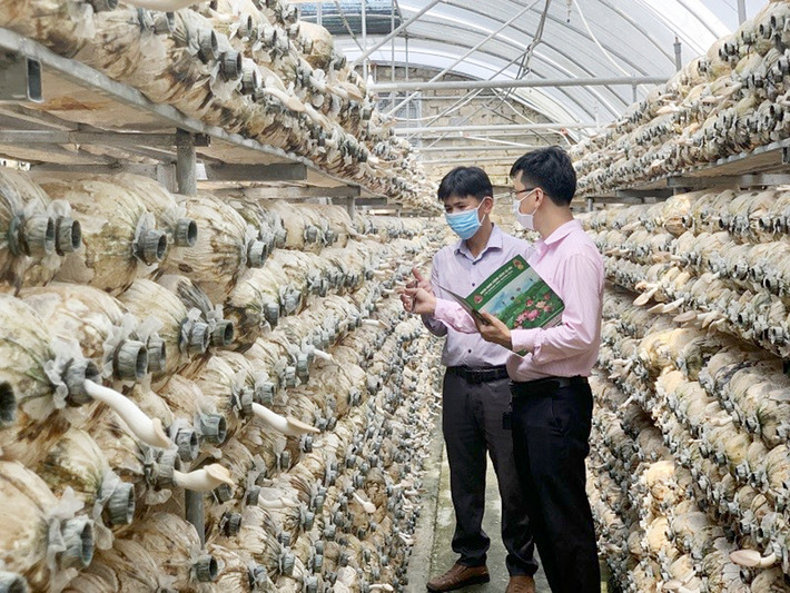 Cán bộ tín dụng luôn bám sát địa bàn, nắm vững nhu cầu để tiếp vốn kịp thời cho người từng lầm lỡ. Ảnh: Khánh Phương Ảnh: Cán bộ tín dụng luôn bám sát địa bàn, nắm vững nhu cầu để tiếp vốn kịp thời cho người từng lầm lỡ. Ảnh: Khánh Phương.