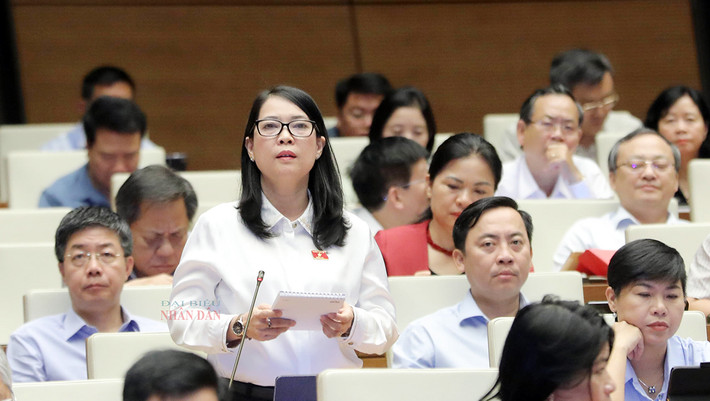 Kiểm soát chặt chẽ hơn tính hợp lý, hợp pháp của các văn bản dưới luật ảnh 2 Kiểm soát chặt chẽ hơn tính hợp lý, hợp pháp của các văn bản dưới luật -0