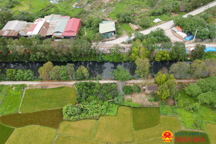 Dòng kênh Mạnh Tân thuộc xã Thụy Lâm (Đông Anh) đang bị ô nhiễm nghiêm trọng. Hà Nội: Người dân “kêu trời” vì trại lợn xả thải gây ô nhiễm môi trường