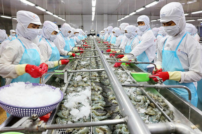 Các thị trường lớn của thủy sản có tín hiệu hồi phục dần ảnh 1 Xuất khẩu thủy sản có tín hiệu lạc quan. Nguồn: ITN