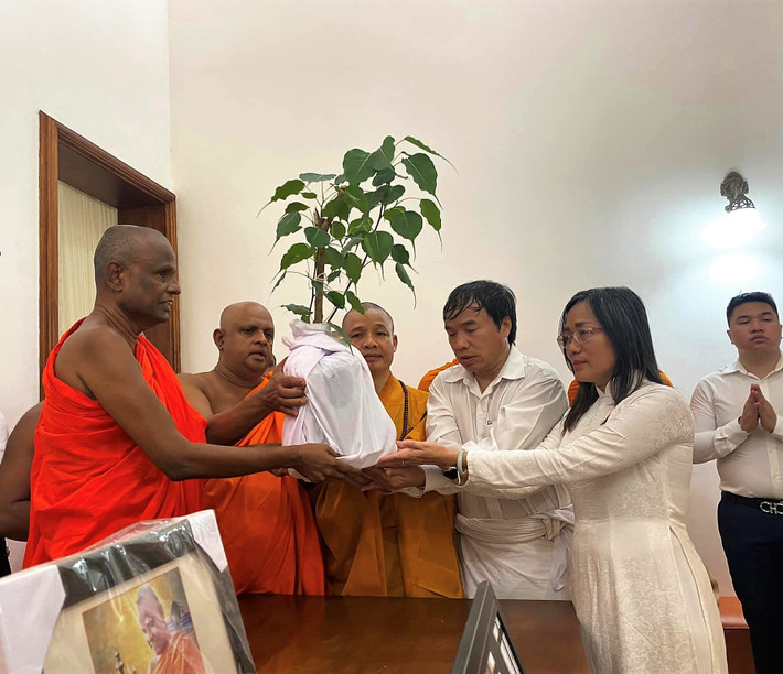Hội đủ nhân duyên ảnh 2 Hòa thượng Pallegama Hemarathana, trụ trì chùa Bomaluwa, cố đô Anuradhapura, bàn giao cây bồ đề thiêng cho Việt Nam