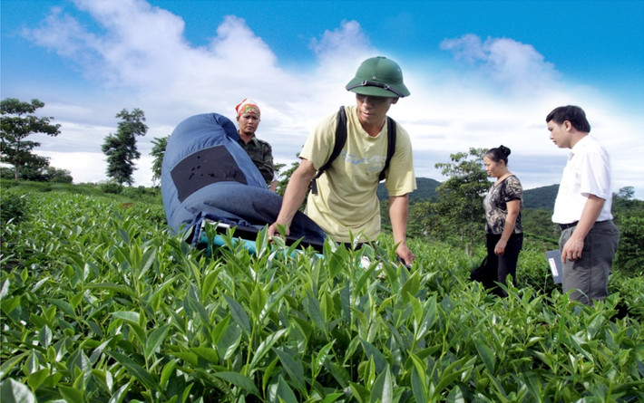 Agribank luôn đòng hành với nông nghiệp, nông dân trong cuộc chiến với Covid-19 Ảnh: Bảo Linh Agribank luôn đòng hành với nông nghiệp, nông dân trong cuộc chiến với Covid-19 Ảnh: Bảo Linh