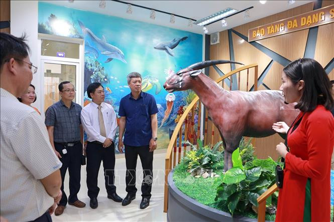 Ra mắt Bảo tàng đa dạng sinh học cấp tỉnh đầu tiên của Việt Nam ảnh 1 Ra mắt Bảo tàng đa dạng sinh học cấp tỉnh đầu tiên của Việt Nam