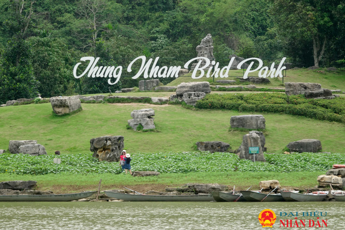 Cách trung tâm TP Ninh Bình khoảng 12km, vườn chim Thung Nham nằm trọn trong vùng lõi của quần thể danh thắng Tràng An, cạnh khu du lịch nổi tiếng Tam Cốc - Bích Động. Ninh Bình: Lạc vào xứ sở các loài chim ở Thung Nham