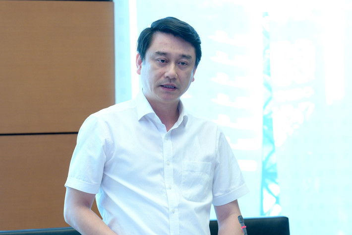Phó Chủ tịch Quốc hội Nguyễn Thị Thanh chủ trì họp Ban Chỉ đạo xây dựng Đề án “Đổi mới cơ chế bầu cử ĐBQH và đại biểu HĐND các cấp” ảnh 4 Phó Chủ nhiệm Ủy ban Đối ngoại Lê Anh Tuấn tham gia ý kiến vào Đề án