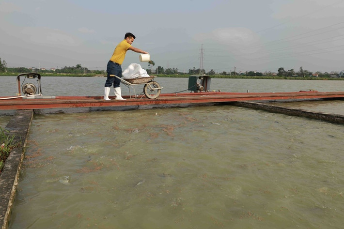 Nhiều dư địa phát triển nuôi trồng thủy sản công nghệ cao ảnh 1 Mô hình nuôi trồng thuỷ sản ứng dụng kỹ thuật