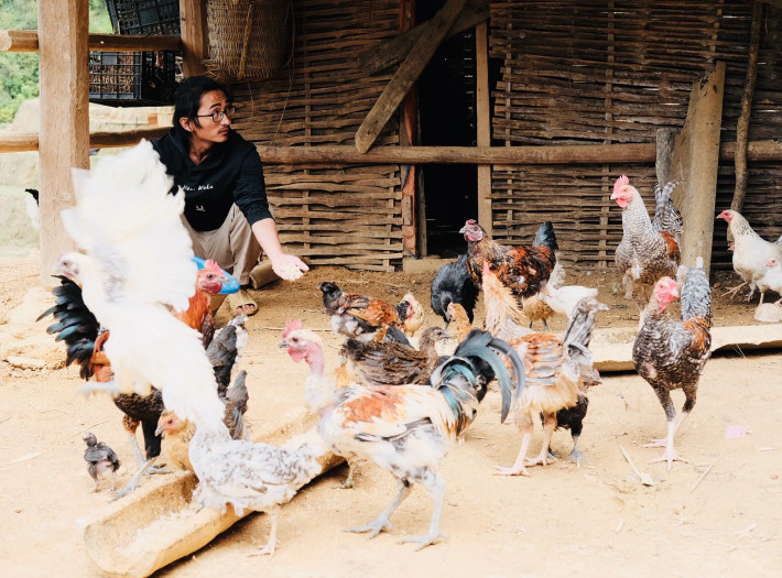 Trong dự án Ná Nả, Khang A Tủa là người khôi phục giống gà xương đen của người Mông Ảnh: NVCC Trong dự án Ná Nả, Khang A Tủa là người khôi phục giống gà xương đen của người Mông - Ảnh: NVCC