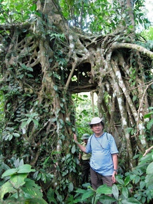 Họa sĩ Trịnh Lữ tìm kiếm ngôi nhà năm xưa của gia đình trên đỉnh Ba Vì Họa sĩ Trịnh Lữ tìm kiếm ngôi nhà năm xưa của gia đình trên đỉnh Ba Vì