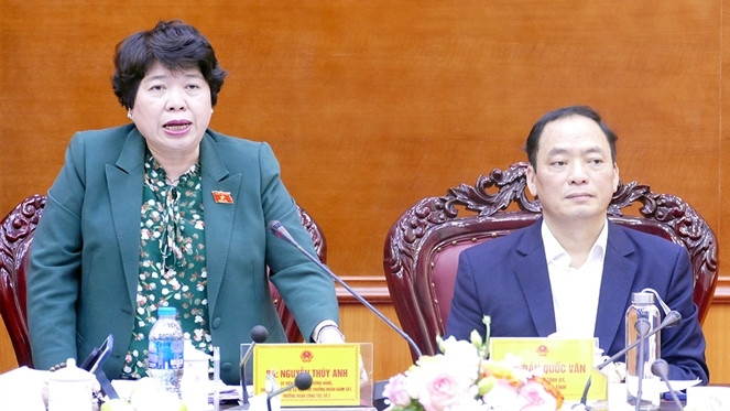 Sáp nhập cơ học, y tế dự phòng có bị tê liệt? ảnh 1 hủ nhiệm Ủy ban Xã hội Nguyễn Thúy Anh phát biểu tại cuộc làm việc với UBND tỉnh Hưng Yên - Ảnh Hoàng Ngọc