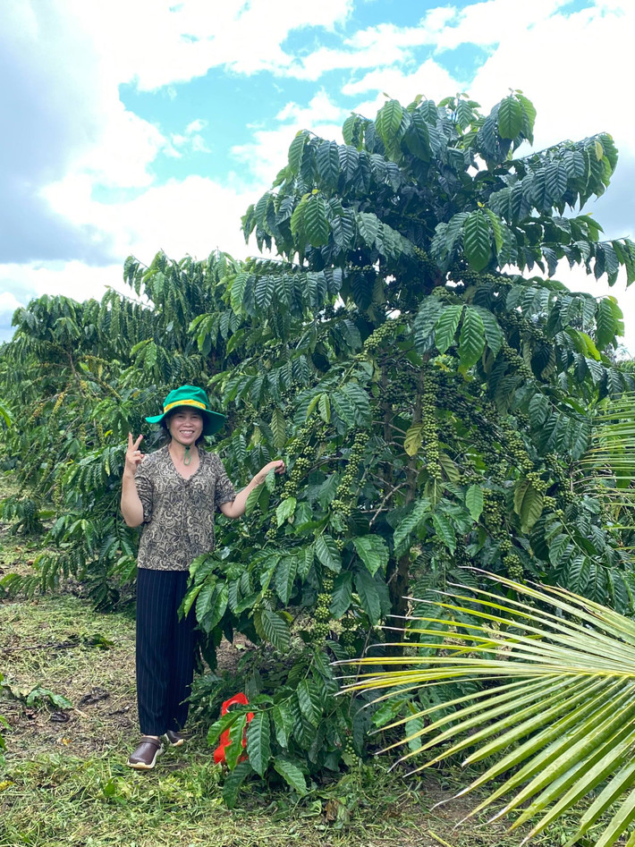 Bà Nguyễn Thị Tuyết Liên (TT Lộc Thắng, Bảo Lâm, Lâm Đồng) bên vườn cây đạt năng suất cao khi sử dụng sản phẩm NPK Phú Mỹ vi sinh. Nguồn: PVFCCo Hoàn thiện bộ sản phẩm bằng cái tâm -0