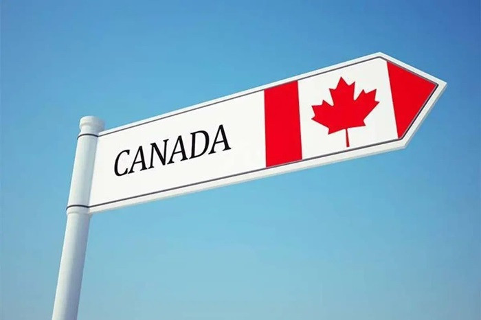 Ảnh: ITN Canada tiến tới hạn chế số lượng người tạm trú -0