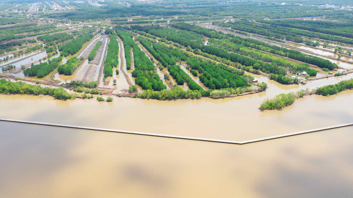 Rừng phòng hộ ven bờ biển gần cửa sông Ông Đốc (Cà Mau) bị sụt giảm nghiêm trọng do sóng mạnh đánh vào bờ gây xói lở. Ảnh: AFD Ký kết thỏa ước hỗ trợ tỉnh Cà Mau giải quyết tác động của biến đổi khí hậu -0