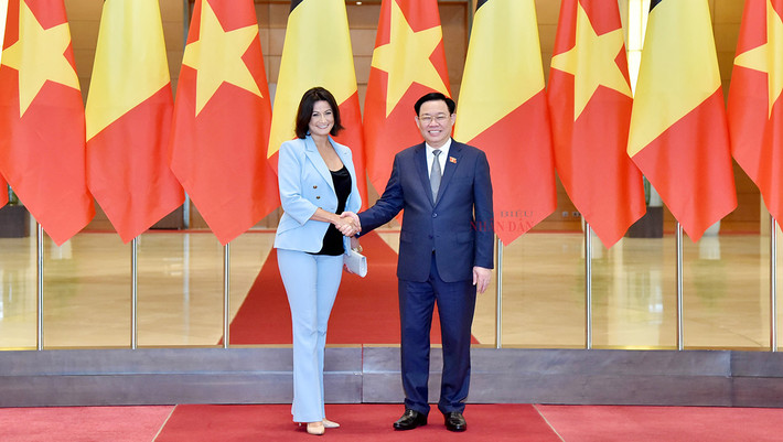 Chủ tịch Quốc hội Vương Đình Huệ đón, hội đàm với Chủ tịch Thượng viện Vương quốc Bỉ ảnh 2 Chủ tịch Quốc hội Vương Đình Huệ đón, hội đàm với Chủ tịch Thượng viện Vương quốc Bỉ