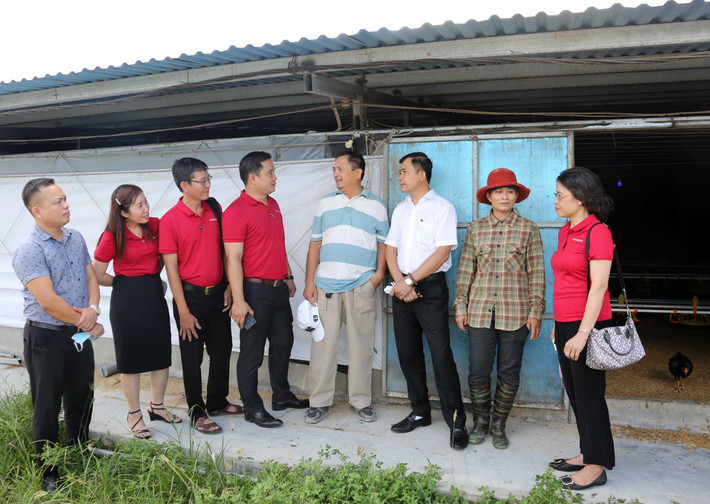 Cán bộ Agribank thăm, động viên hộ vay Cao Văn Đà ở xã Tam Thăng, thành phố Tam Kỳ, Quảng Nam Ảnh: Đức Kiên Cán bộ Agribank thăm, động viên hộ vay Cao Văn Đà ở xã Tam Thăng, thành phố Tam Kỳ, Quảng Nam. Ảnh: Đức Kiên.