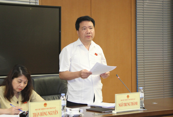 Thẩm tra sơ bộ Báo cáo của Chính phủ về tình hình thi hành Hiến pháp, pháp luật năm 2023 ảnh 3 Phó Chủ nhiệm Ủy ban Pháp luật Ngô Trung Thành trình bày Báo cáo thẩm tra sơ bộ