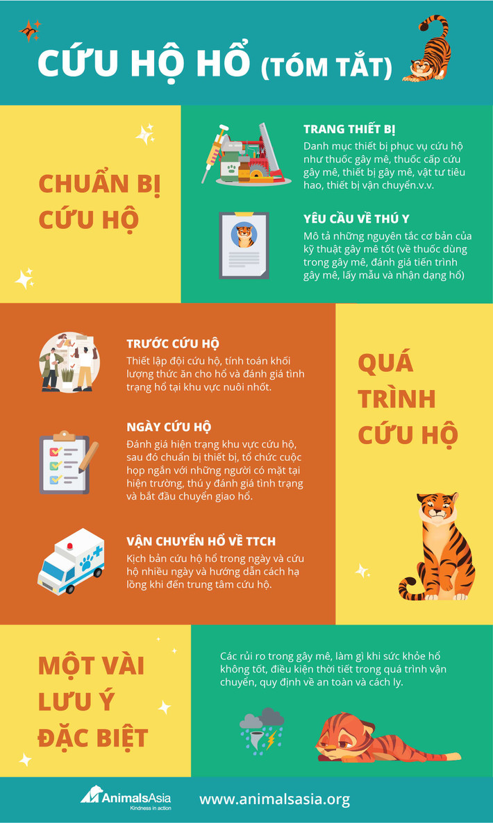 Tóm tắt cứu hộ hổ Đông Dương. Hướng dẫn kỹ thuật cứu hộ động vật hoang dã: Hổ Đông Dương -0