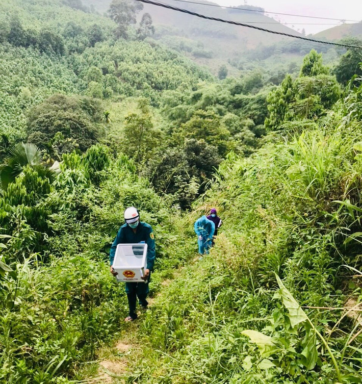 Lực lượng làm nhiệm vụ ôm hòm phiếu băng rừng đến phục vụ cử tri bị cách ly do Covid-19 (F1) Lực lượng làm nhiệm vụ ôm hòm phiếu băng rừng đến phục vụ cử tri bị cách ly do Covid-19 (F1)