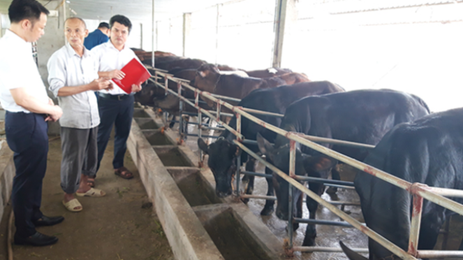 Ông Nguyễn Văn Toàn ở xã Bích Sơn, huyện Việt Yên, Bắc Giang bày tỏ mong muốn mở rộng quy mô nuôi bò với các cán bộ tín dụng Agribank Việt Yên - Ảnh: Bình Nhi Ông Nguyễn Văn Toàn ở xã Bích Sơn, huyện Việt Yên, Bắc Giang bày tỏ mong muốn mở rộng quy mô nuôi bò với các cán bộ tín dụng Agribank Việt Yên - Ảnh: Bình Nhi