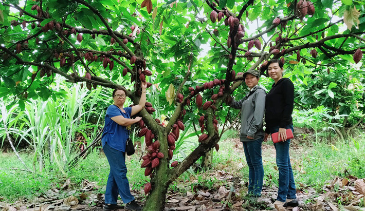 OCOP là tài nguyên để phát triển du lịch nông thôn ảnh 1 Đồng Nai phát triển nhiều mô hình du lịch sinh thái kết hợp quảng bá sản phẩm OCOP. Nguồn: ITN